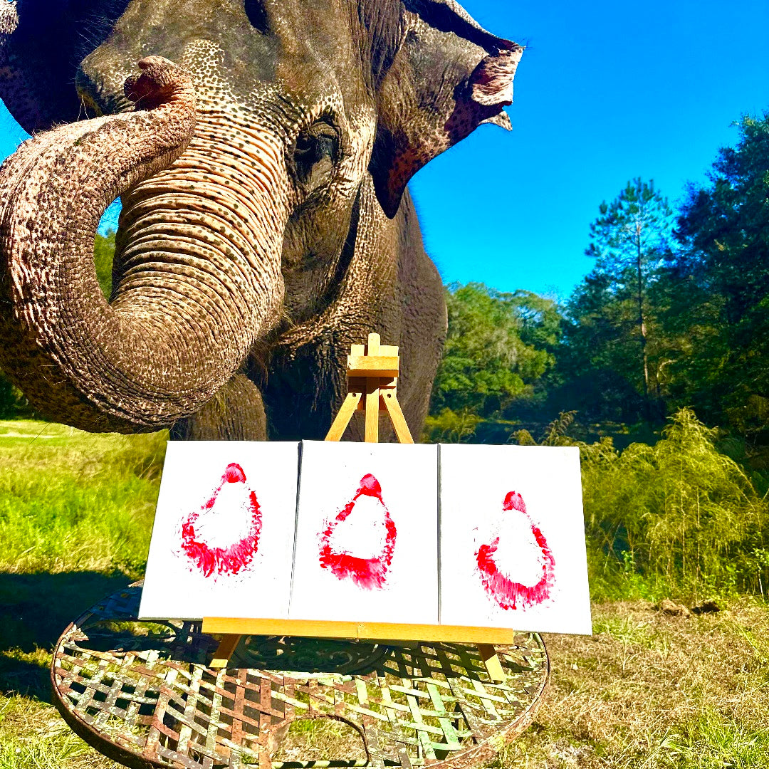 Red elephant kiss