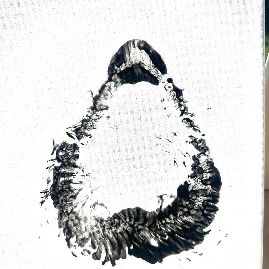 Elephant kiss print