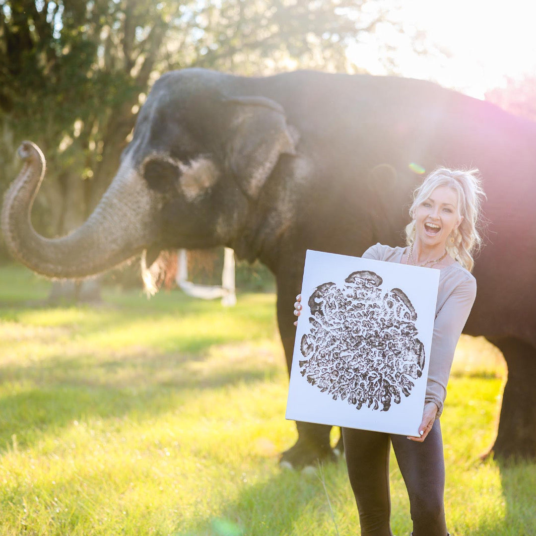 Black elephant foot print