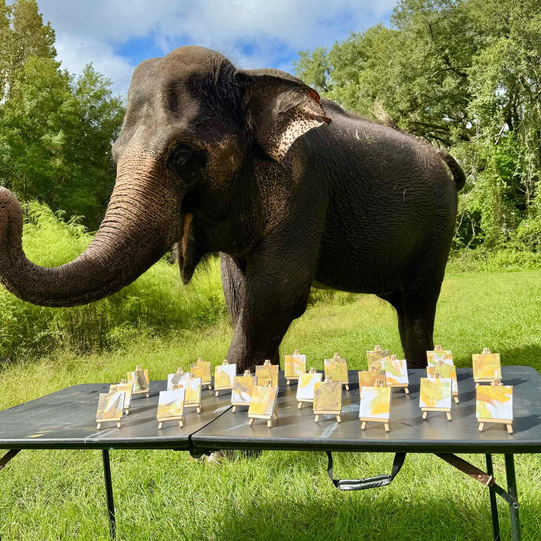 Miniature elephant painting