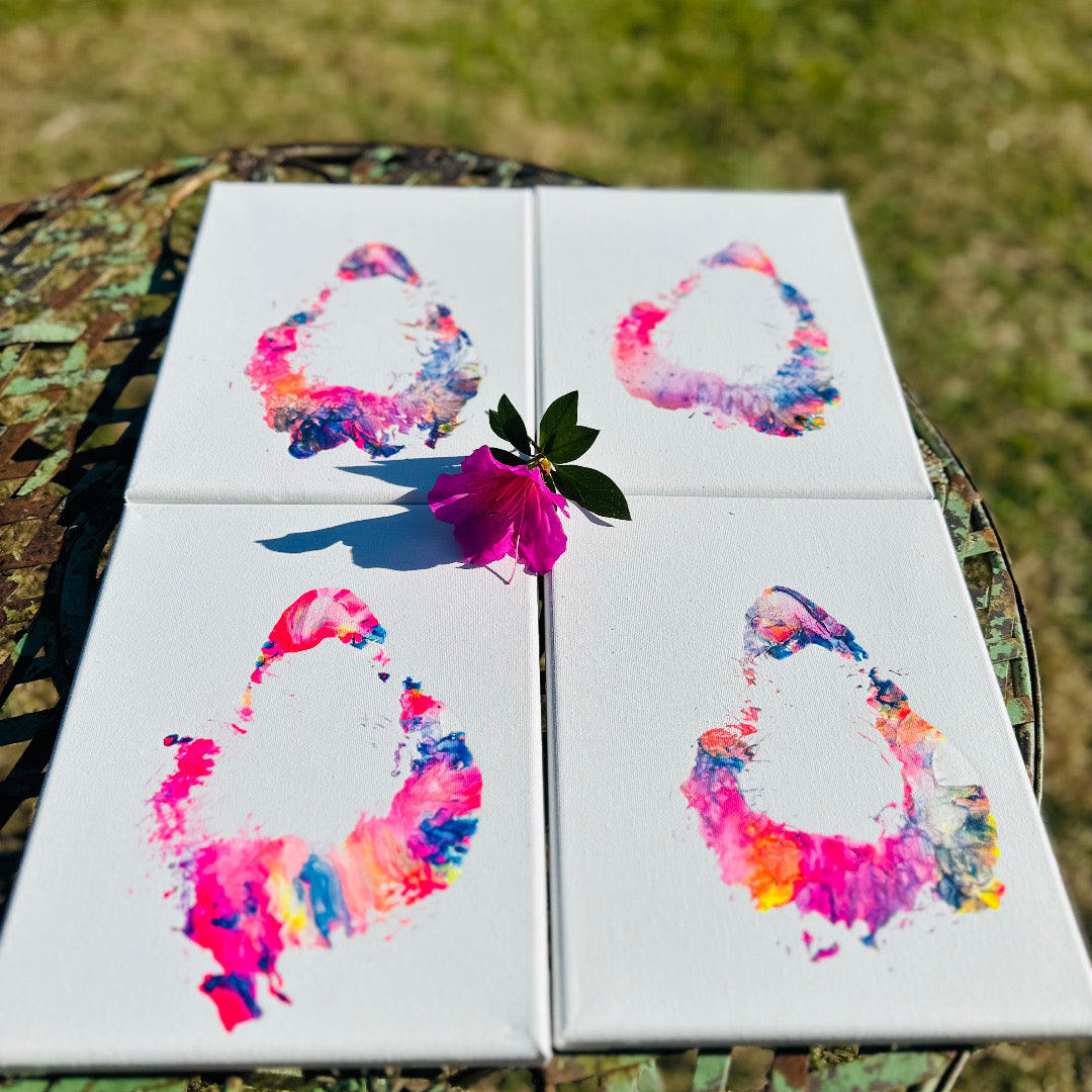 Multi color elephant kiss