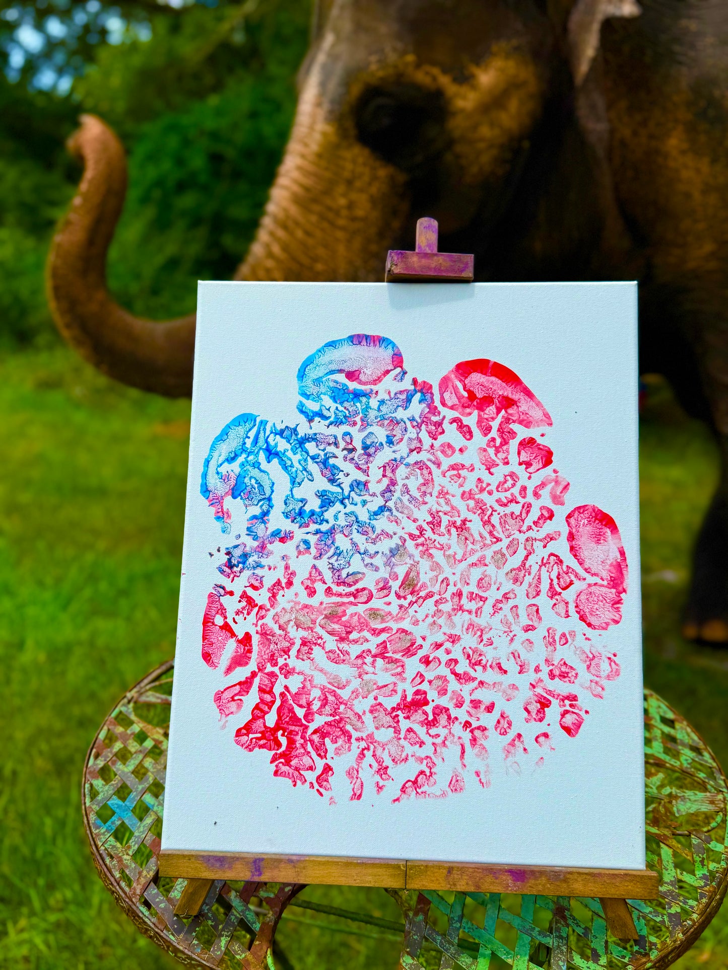 4th of July American flag footprints