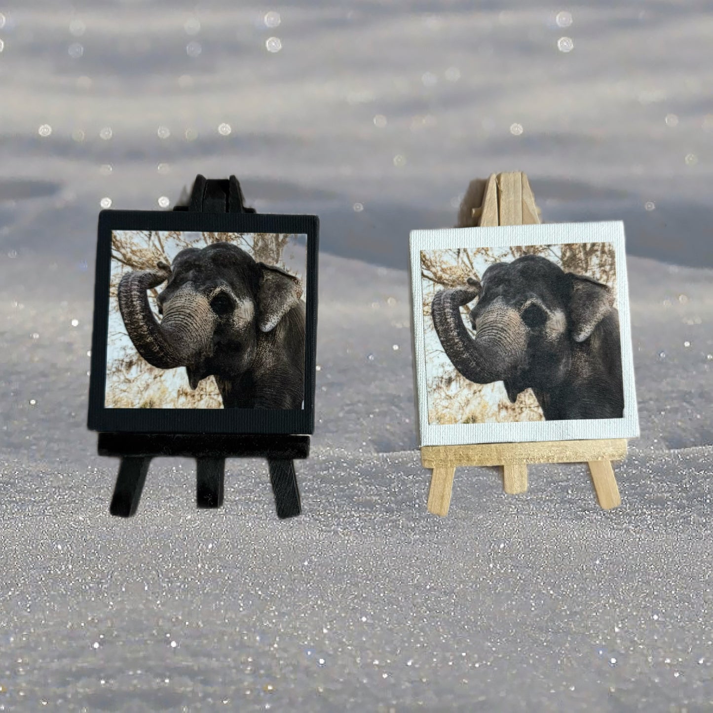 Mini elephant picture canvas