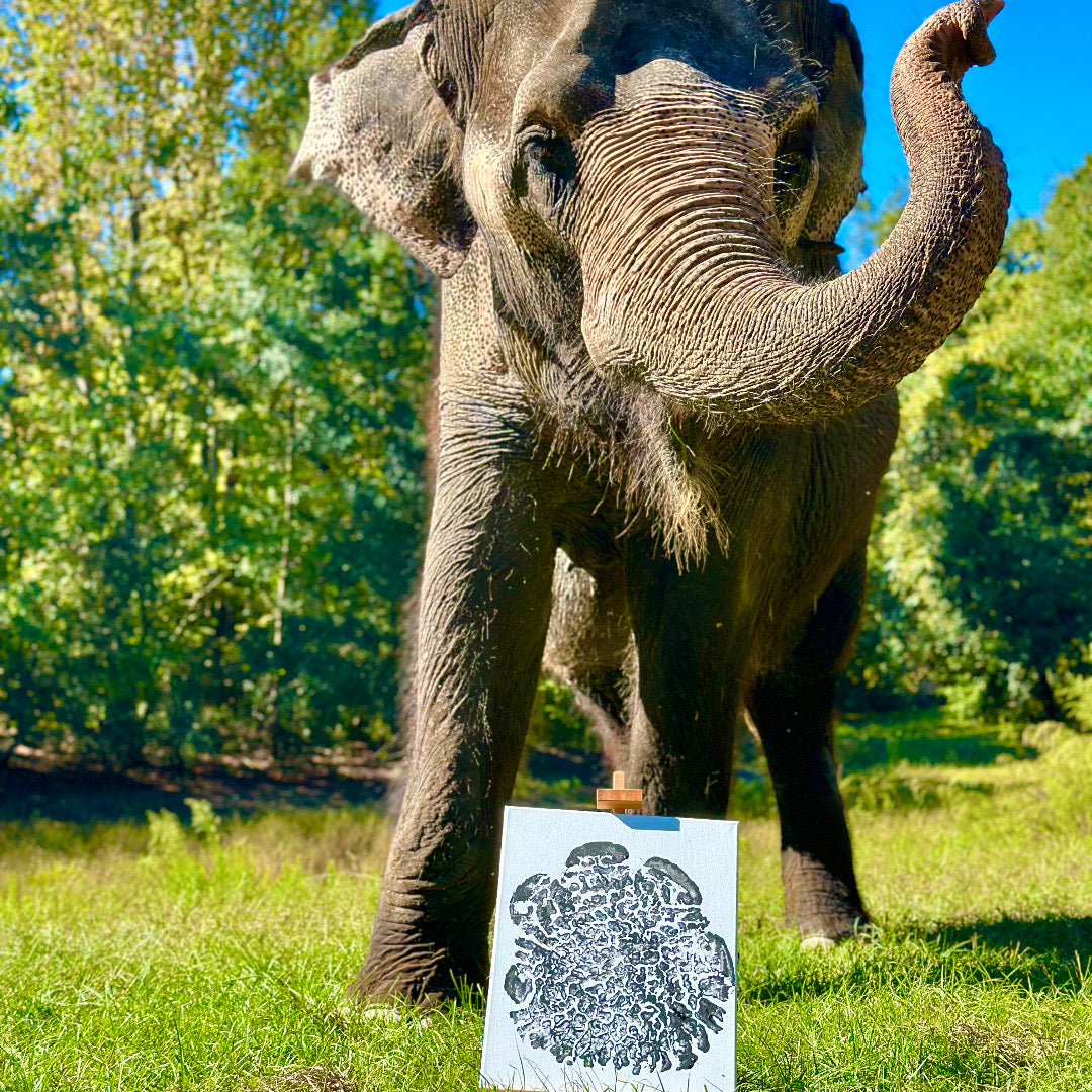 Black elephant foot print