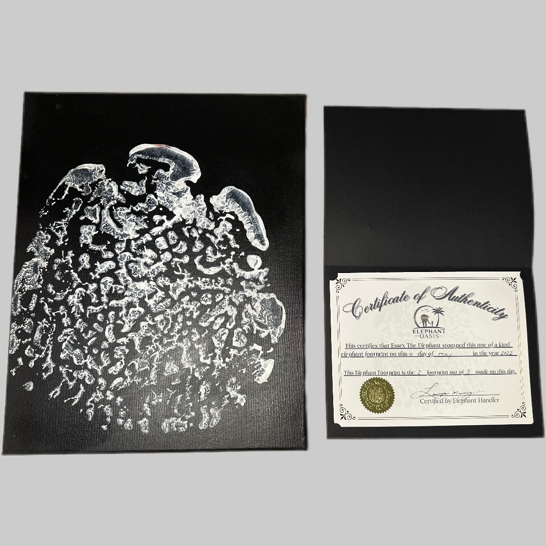 Black canvas white foot print
