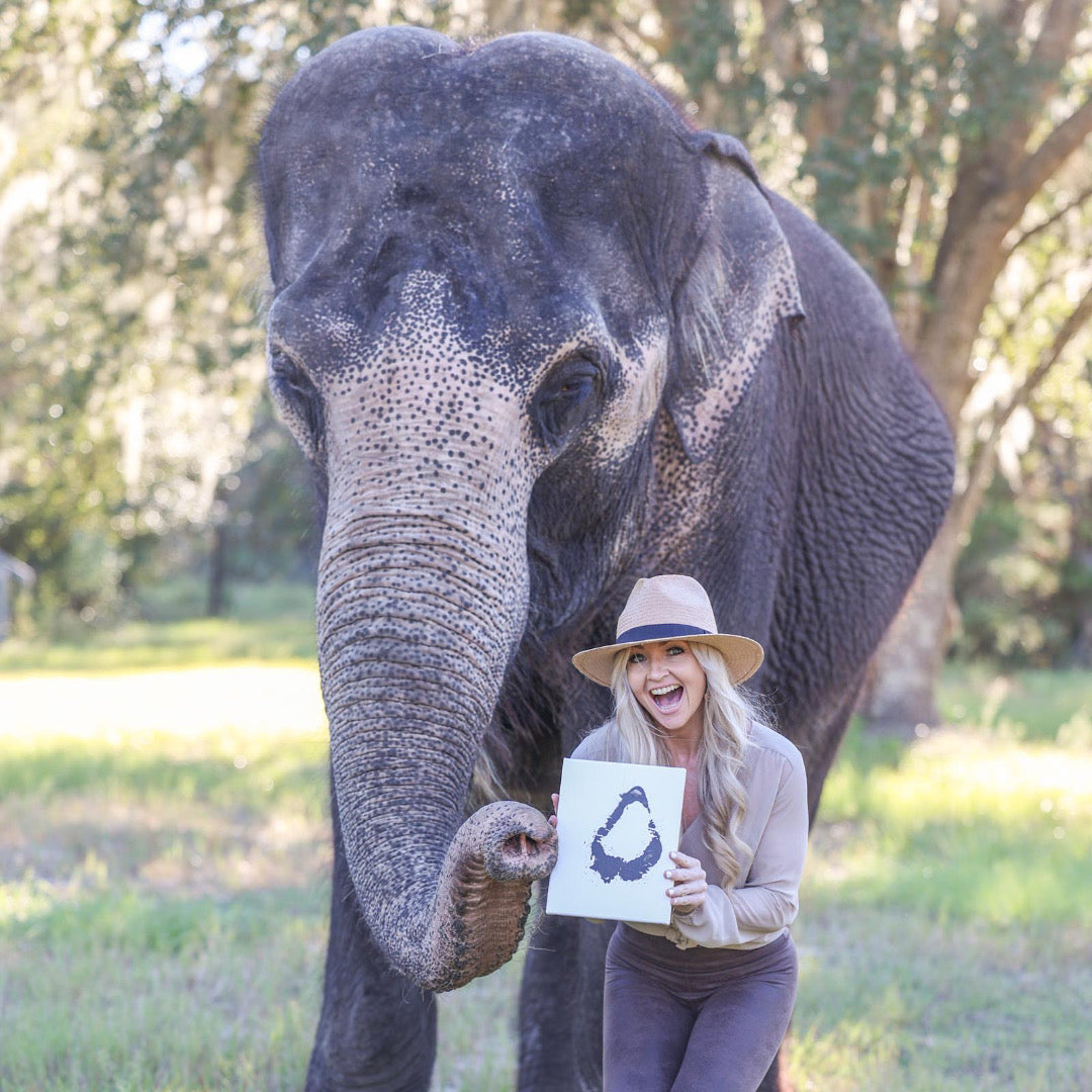 Elephant kiss print