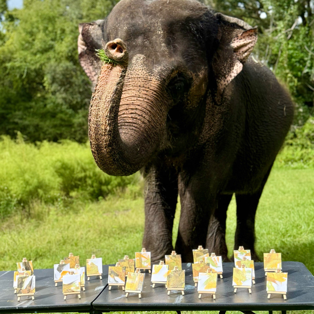 Miniature elephant painting