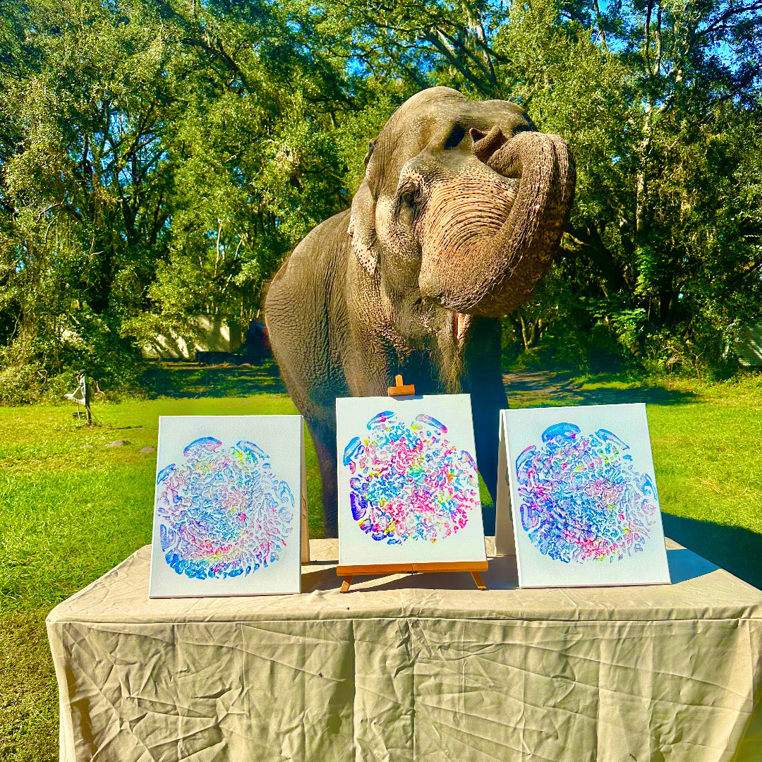 Multi-colored elephant foot print