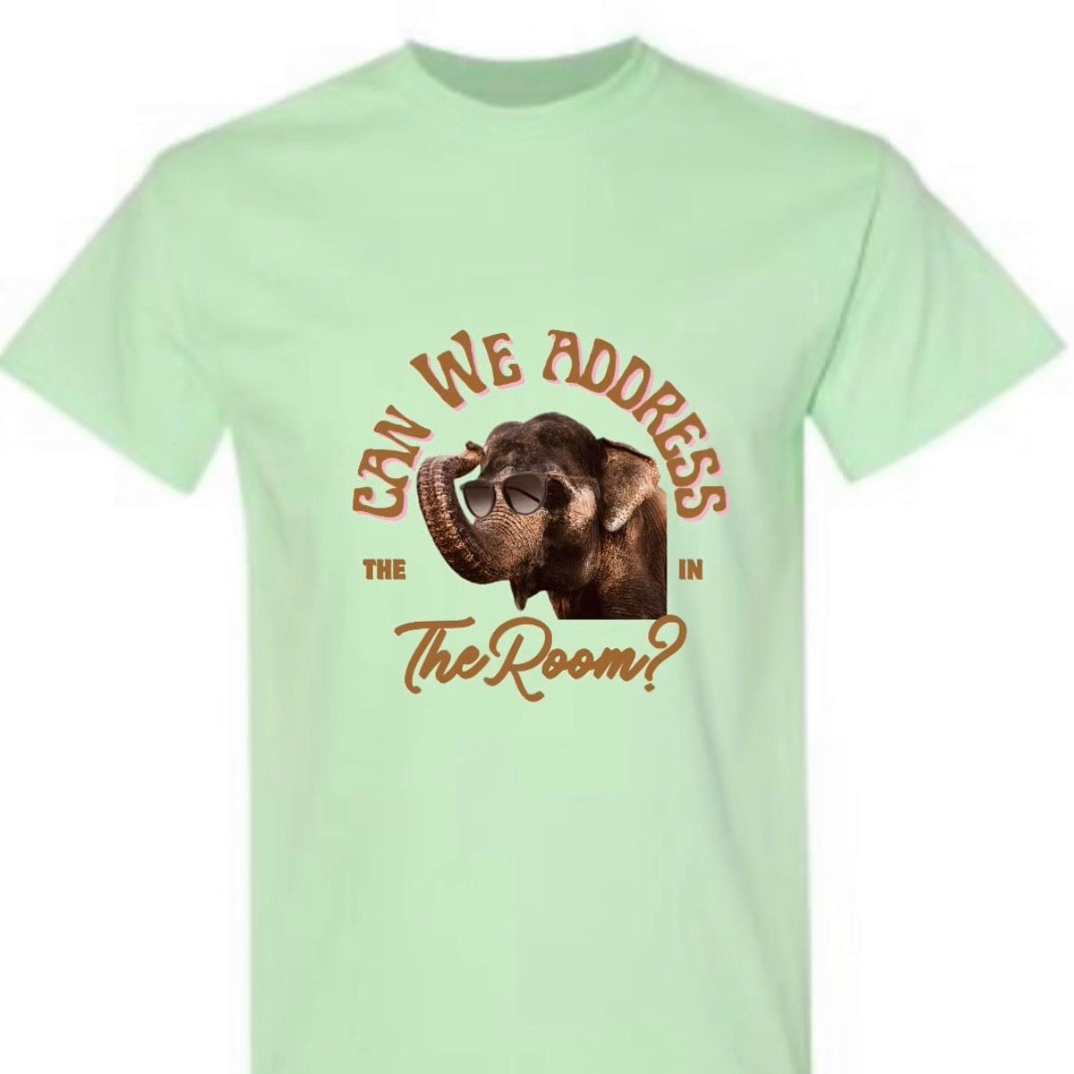 “Can we address the elephant in the room” unisex T-shirt