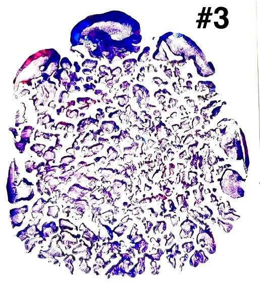 Purple elephant footprint