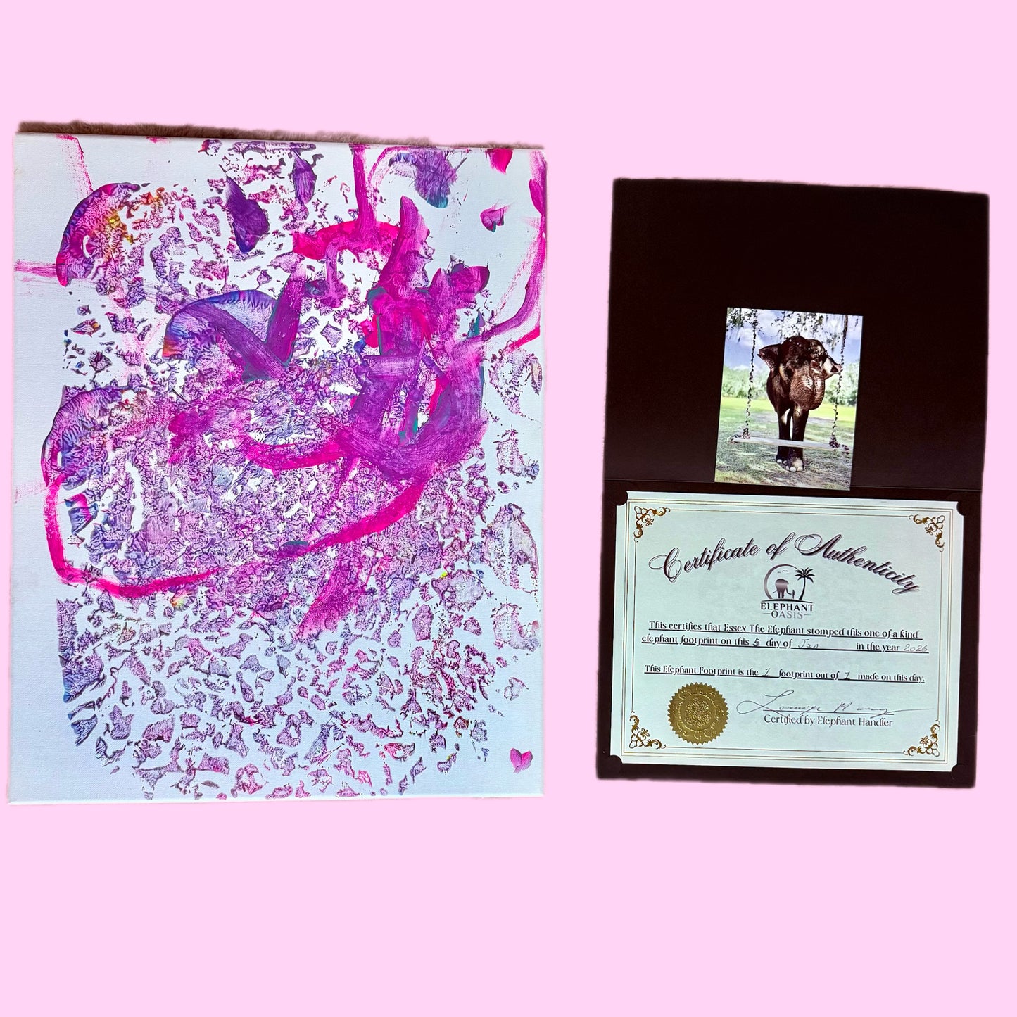 Elephant footprint painting