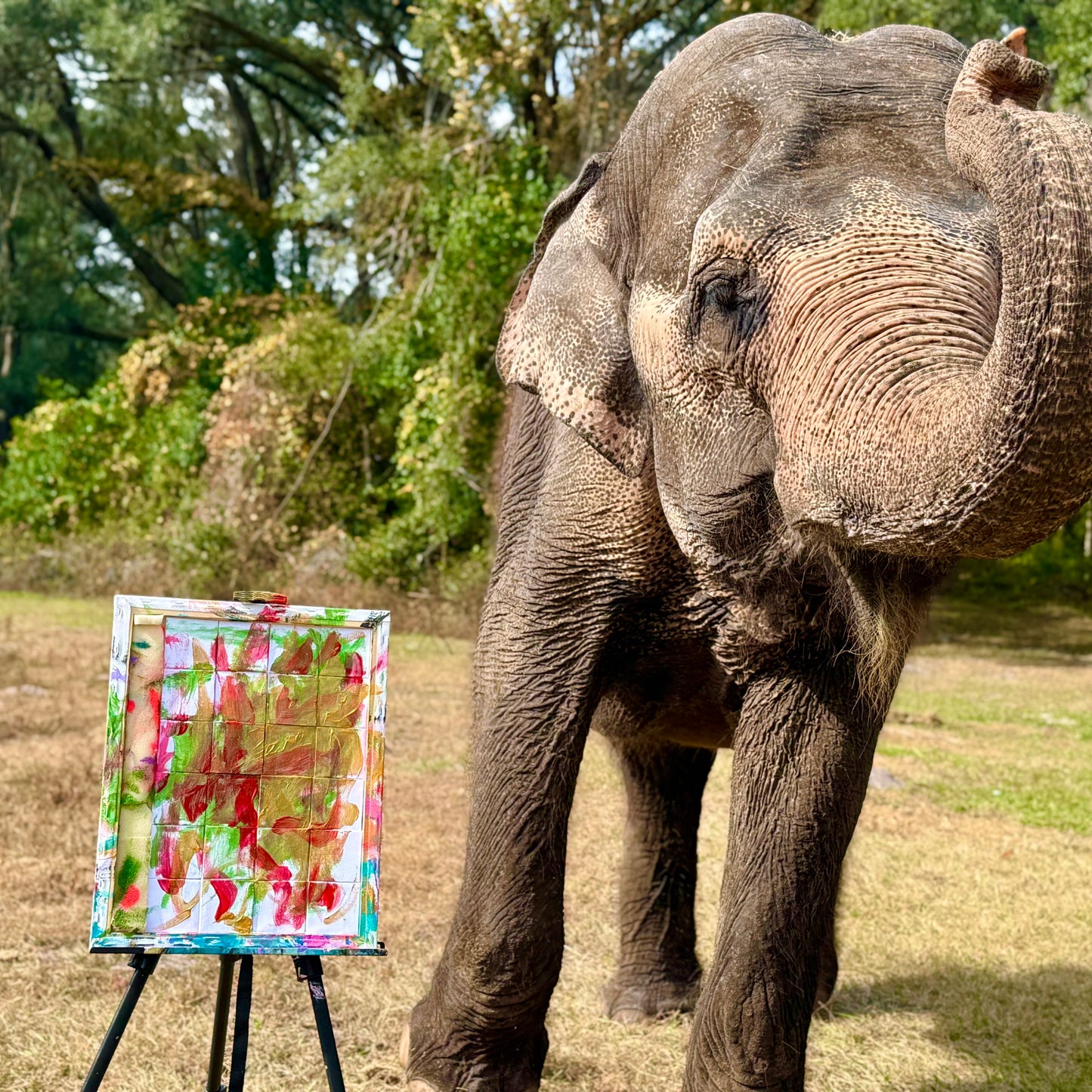Miniature elephant painting