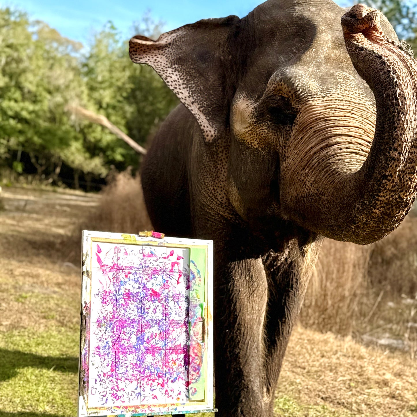 Mini elephant footprint art