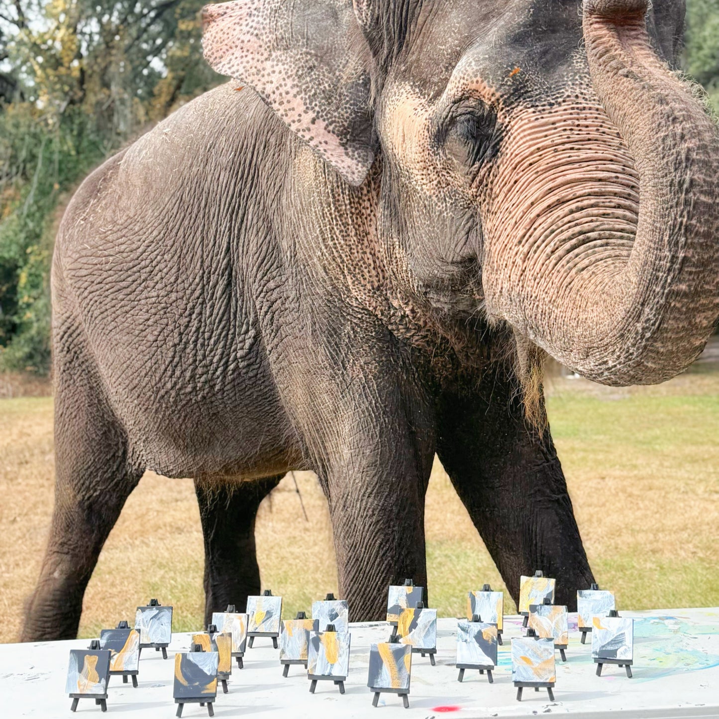 Miniature elephant painting