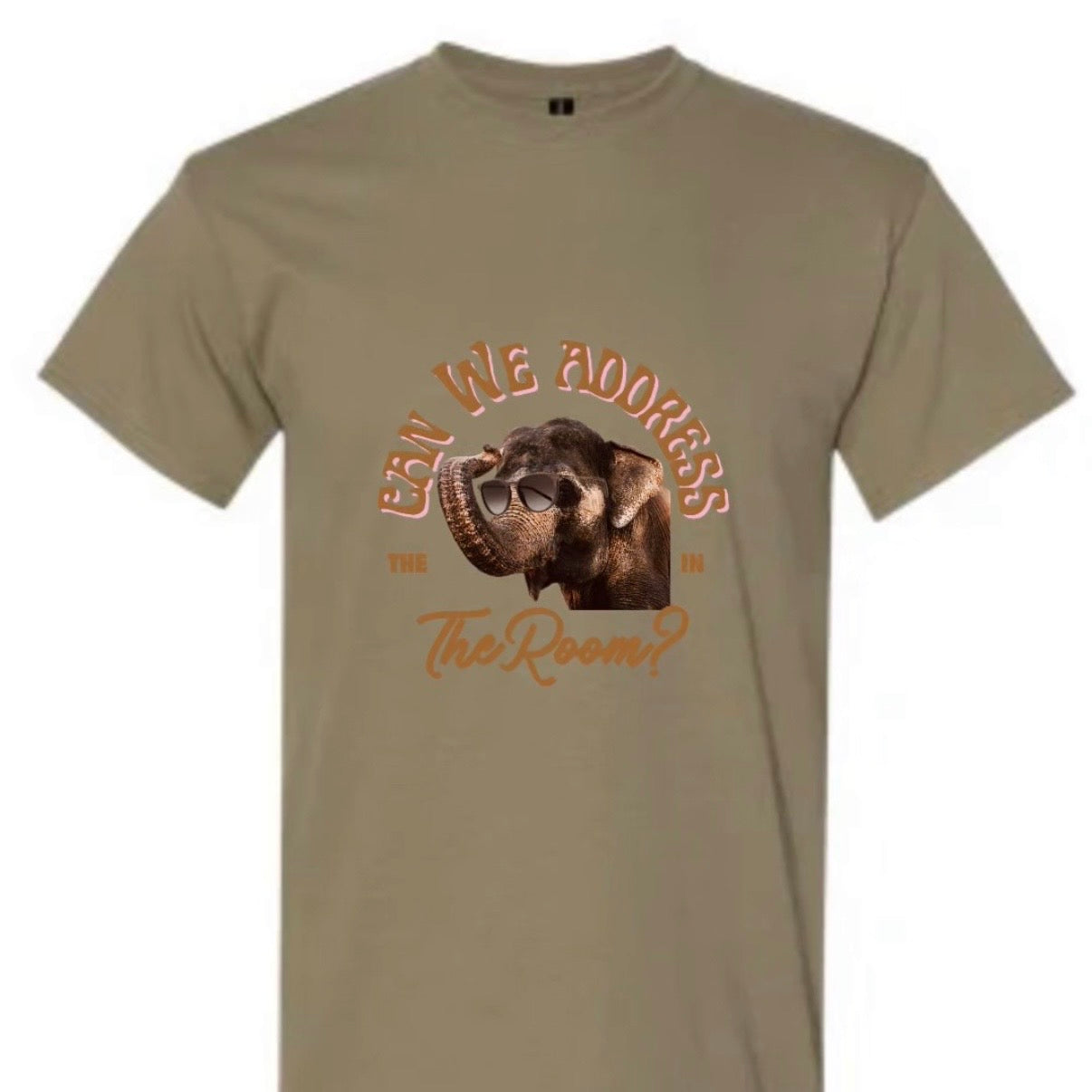 “Can we address the elephant in the room” unisex T-shirt