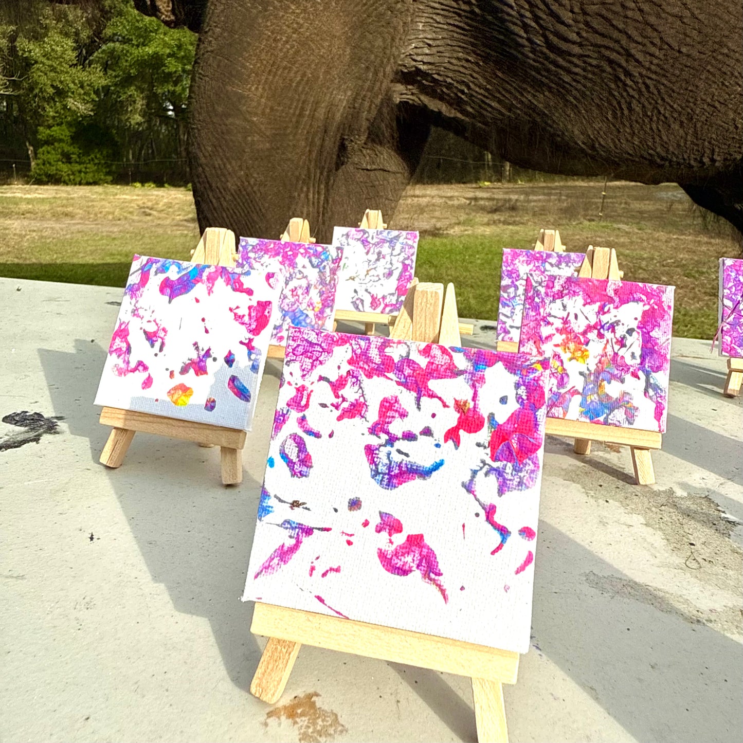 Mini elephant footprint art