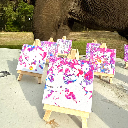 Mini elephant footprint art