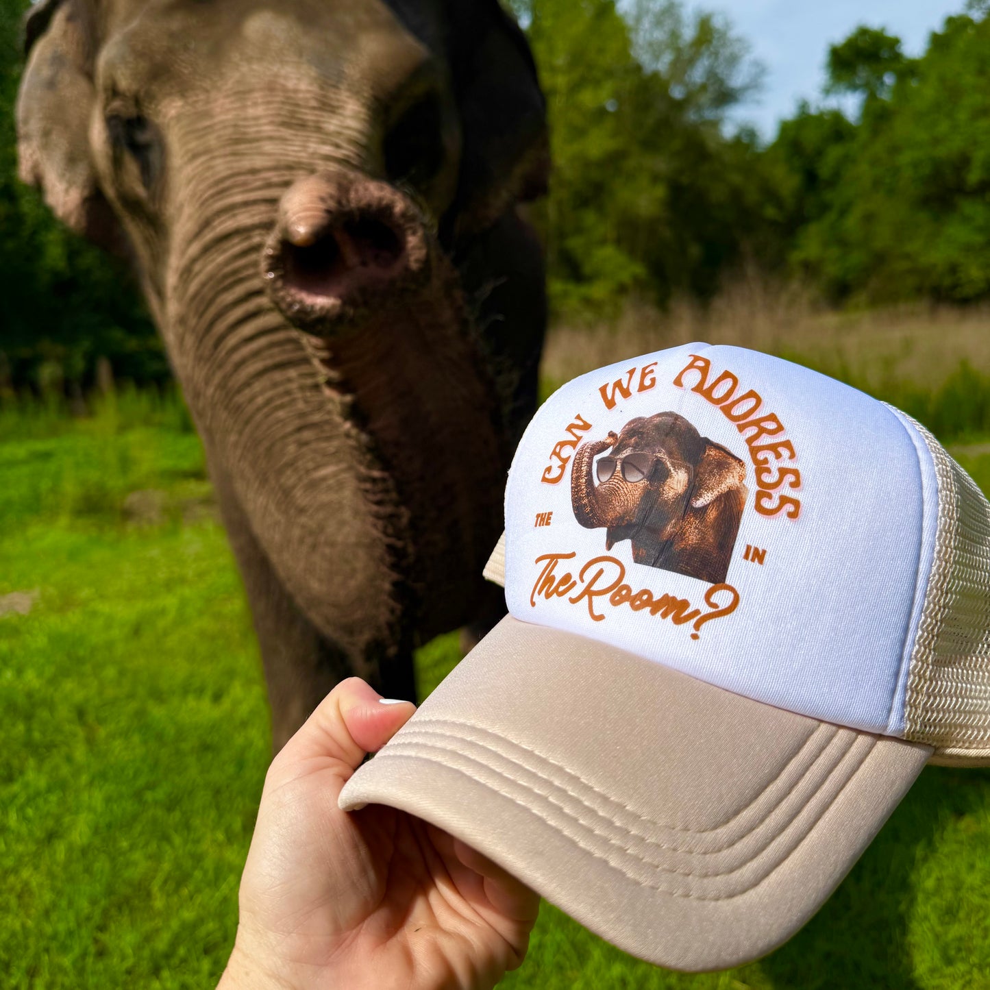 Trucker hat