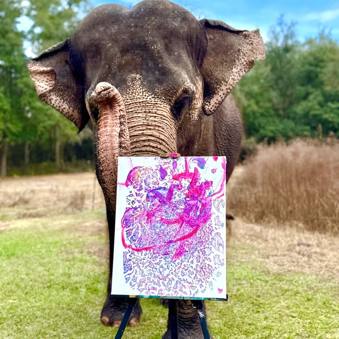 Elephant footprint painting