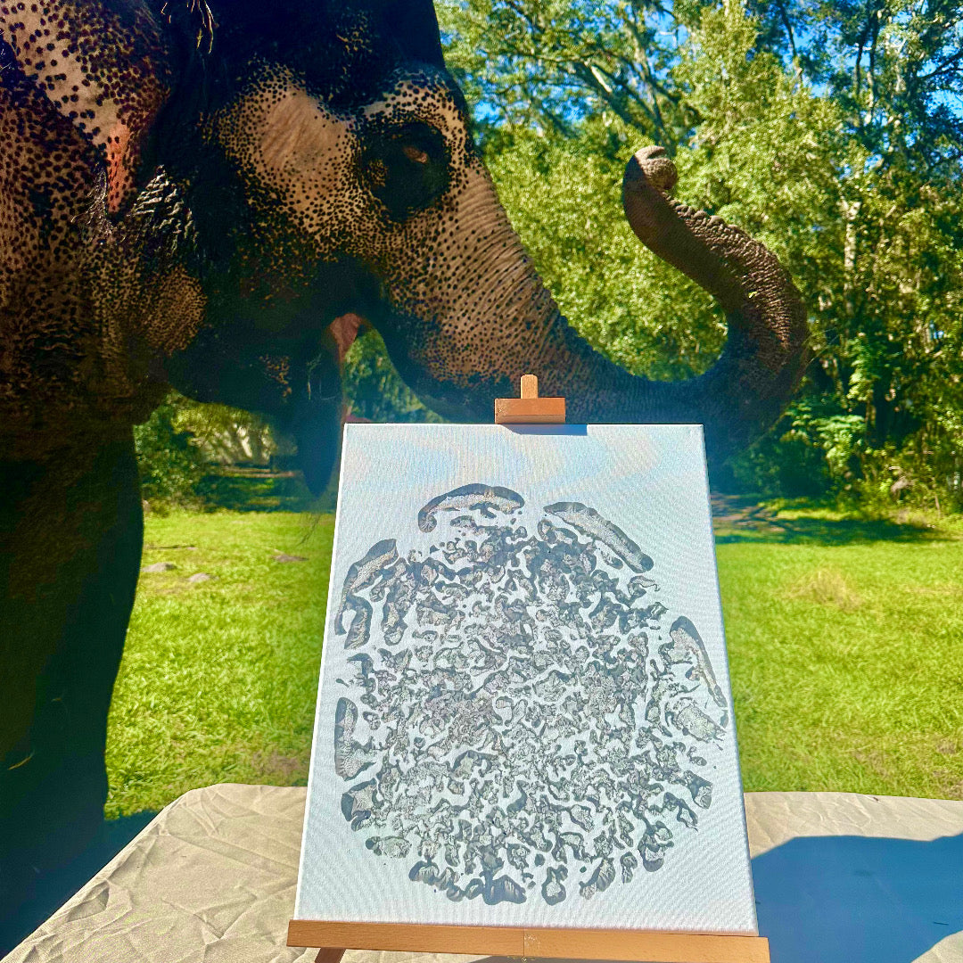 Grey elephant foot print