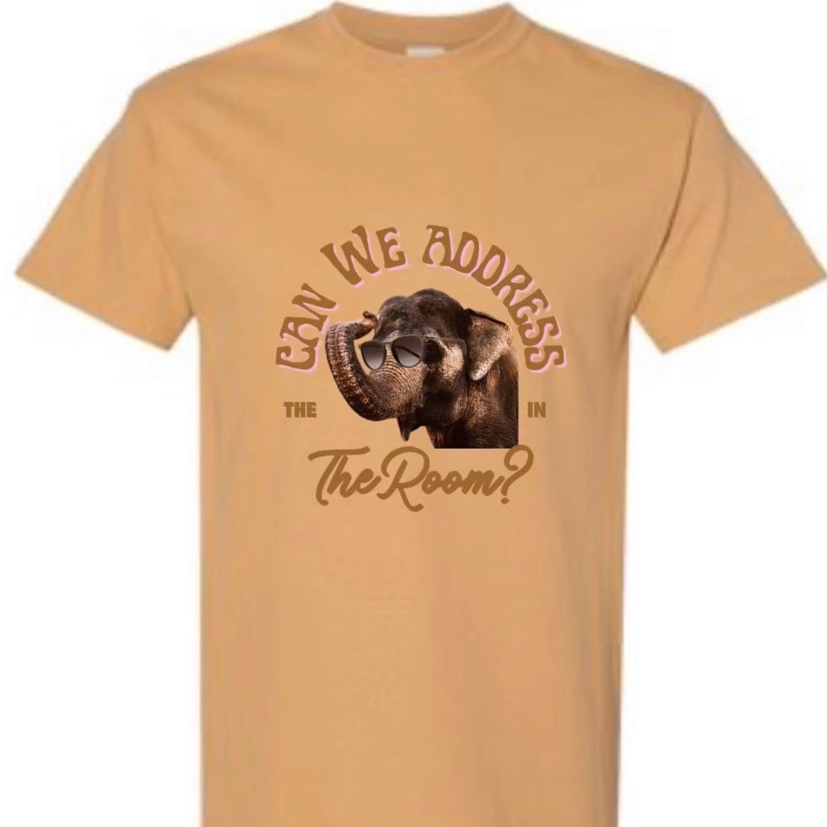 “Can we address the elephant in the room” unisex T-shirt